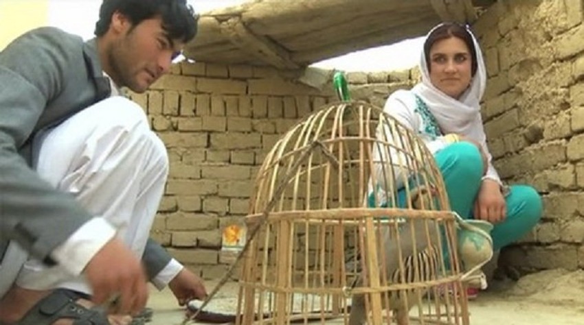 Da li će njihova priča imati srećan kraj?