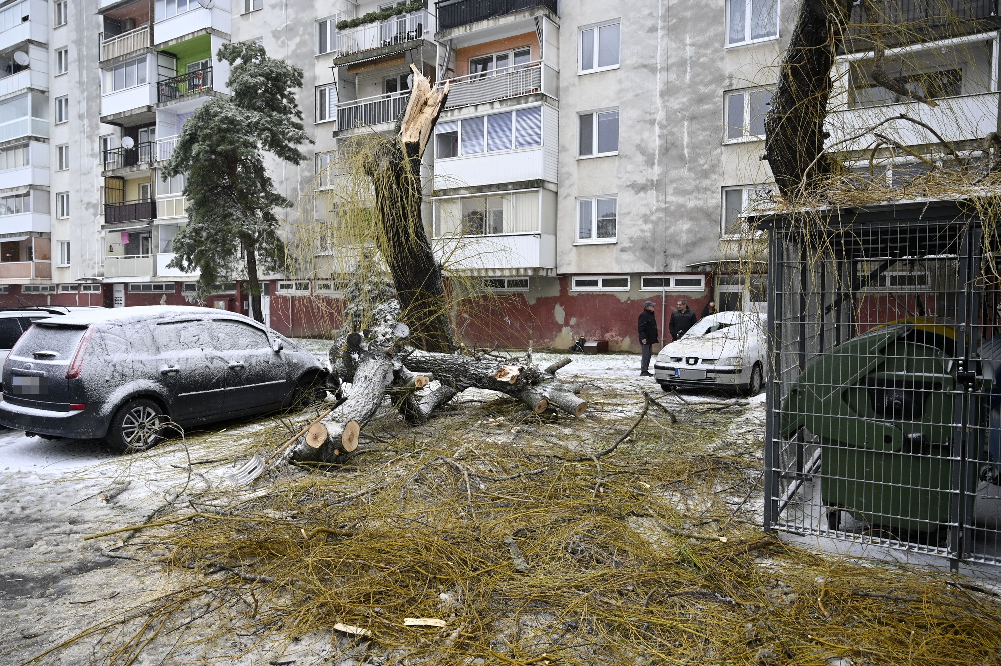 Silný vietor v Trebišove lámal stromy a ničil autá.