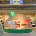 Wyrzucamy miliony ton mebli rocznie. Ikea chce walczyć z problemem, który pomogła stworzyć