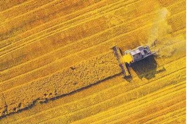 Grupa Azoty 'znacząco' obniża ceny nawozów azotowych i wieloskładnikowych