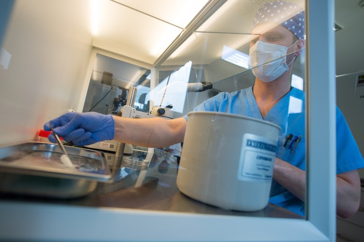 Embriolog dr n. med. Adam Abramik prezentuje sposób przygotowania tkanki do przeszczepu