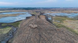 1,6 stopnia za dużo. Katastrofa klimatyczna tuż za rogiem