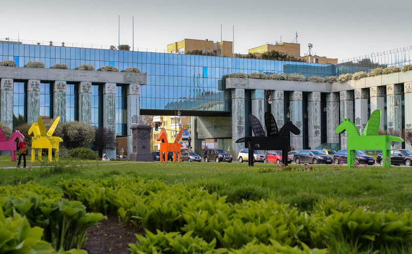 Obecnie w SN działa Izba Pracy, Ubezpieczeń Społecznych i Spraw Publicznych. Nowa ustawa jednak zmienia strukturę sądu. Zagadnienia z zakresu spraw publicznych trafią do nowo powołanej izby (Kontroli Nadzwyczajnej i Spraw Publicznych).