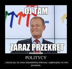 Kim są przyjaciele Sowy i z czego cieszy się Donald Tusk? [MEMY]