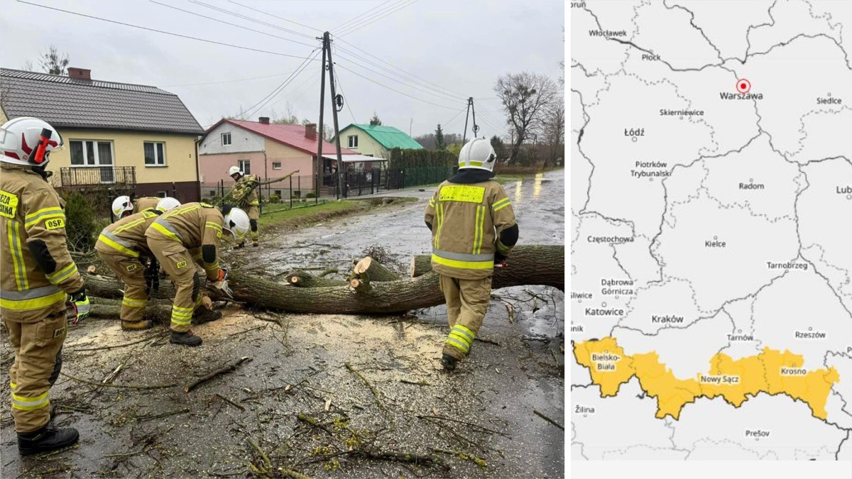 Poland's weather service warns of 100 km/h winds in three provinces