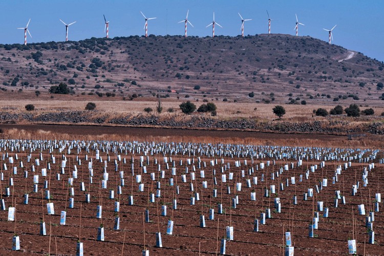 Miejsce 6: Izrael<br><br>

fot.: Generatory wiatrowe na Wzgórzach Golan, Izrael.