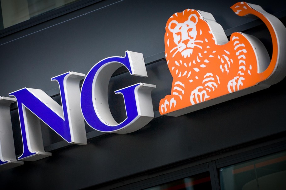 ING Bank Śląski miał niewielki udział w rynku kredytów walutowych