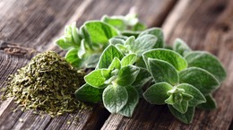 Oregano