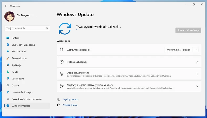 Windows Update w Windows 11