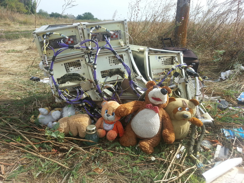 Szczątki samolotu Malaysia Airlines MH17