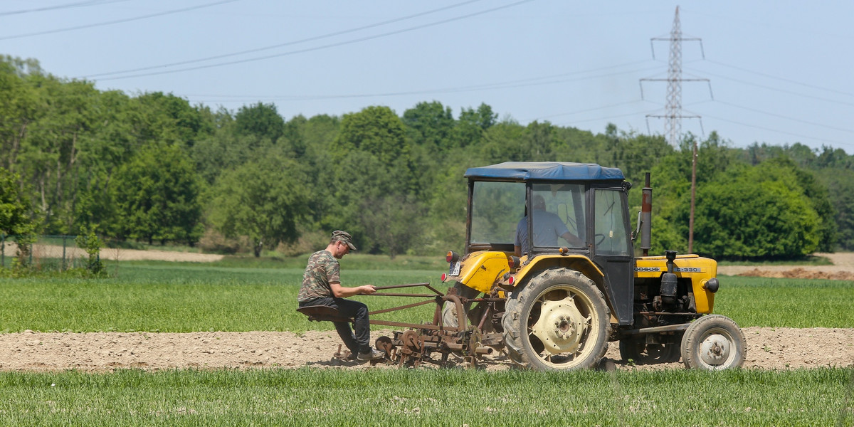 Wg. FOR rolnictwo w Polsce musi poprawić swoją produktywność