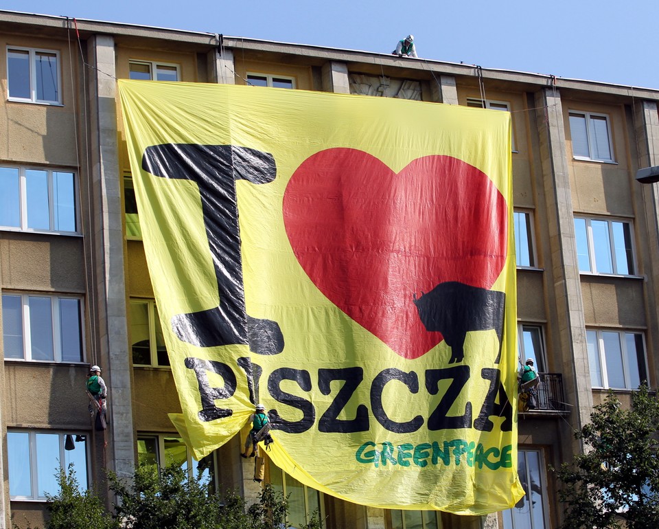 WARSZAWA GREENPEACE AKCJA I LOVE PUSZCZA