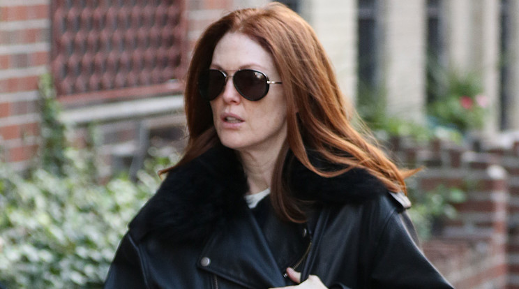 Julianne Moore így mászkál általában / Northfoto