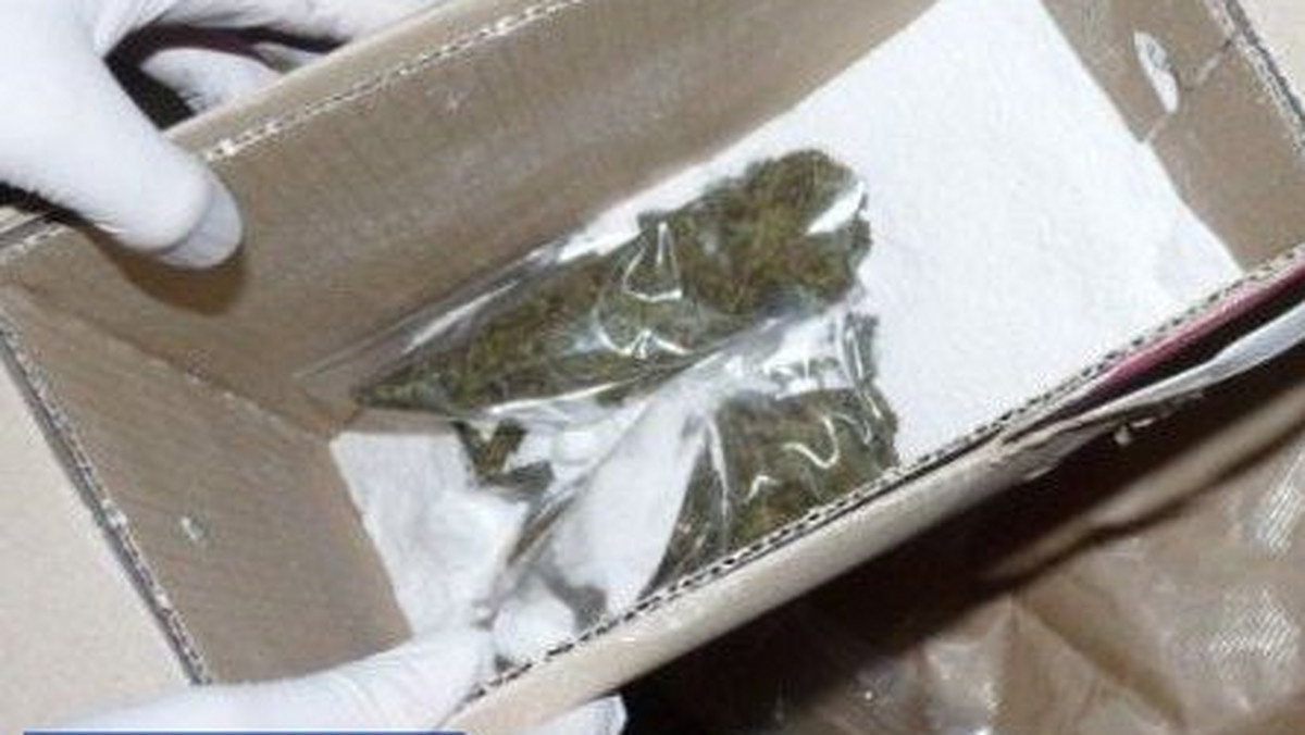 Jeleniogórscy policjanci zatrzymali mężczyznę, który przewoził marihuanę ukrytą w proszku do prania. Narkotyki zostały przywiezione z jednego z państw UE, a ich wartość szacuje się na kwotę ponad 80 tys. złotych.