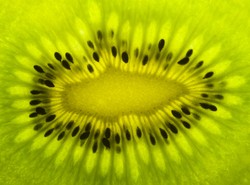 Egzotyka obniża ciśnienie