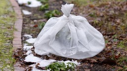 nadciągają silne mrozy. ostrzeżenie dla ogrodników przed spadkami temperatur do -18°c imgw prognoza pogody mapa