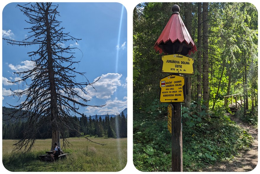 Dolina Juraniowa, Tatry Słowackie.