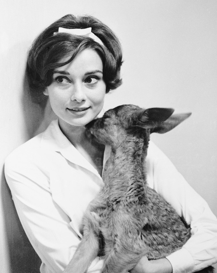 Audrey Hepburn z sarną, 1958 r.