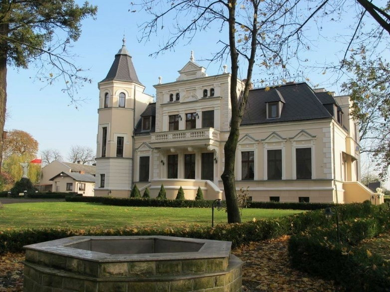 Pałac na sprzedaż Brodnica