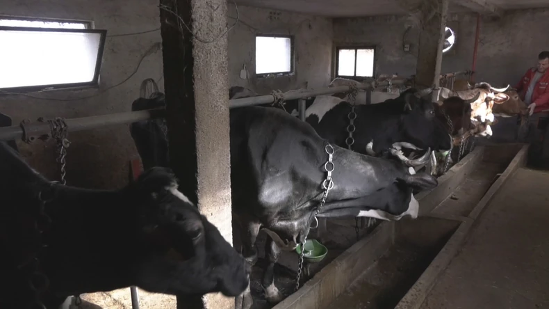 Pantelići iz sela Ba