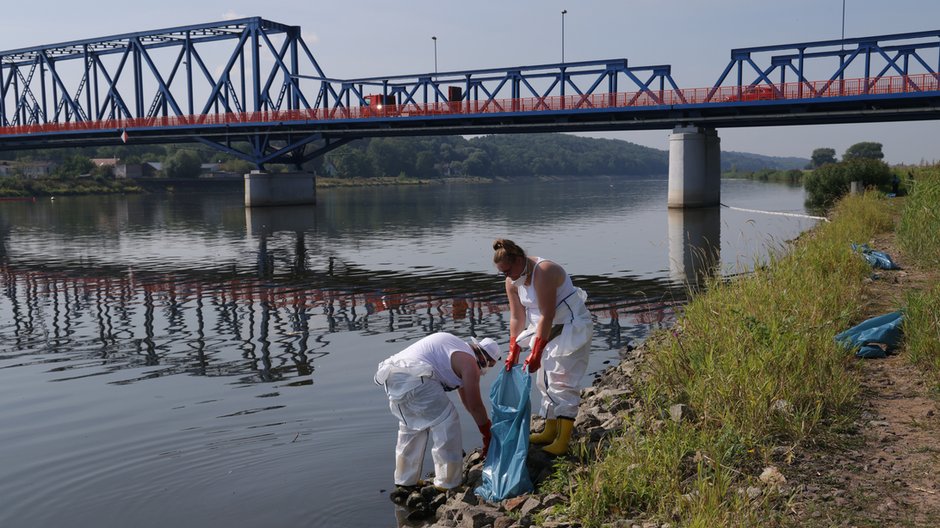 Niemieccy ochotnicy zbierają martwe w Odrze. Schwedt, Niemcy, 17 sierpnia 2022 r.