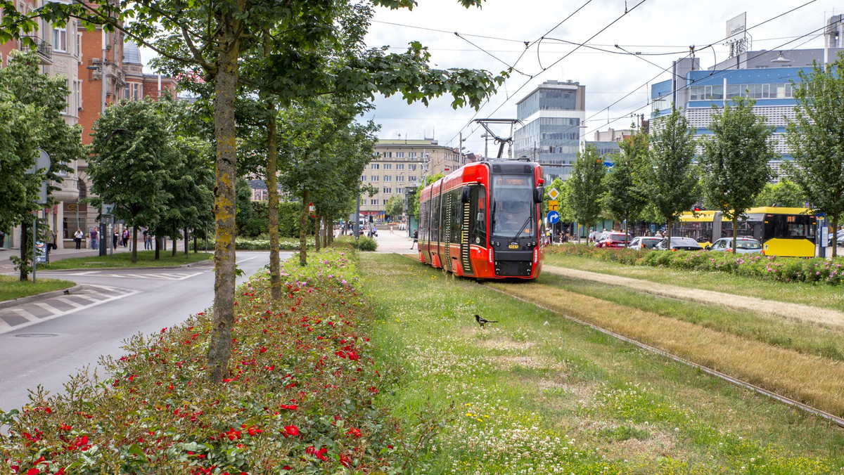 Katowice: Zielony Budżet, zielona inwestycje oraz nagroda za zrównoważony rozwój