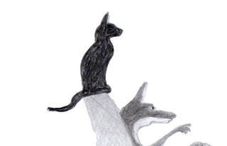 'Szaleństwa Lisa Witalisa' w reż. Macieja Englerta. Premiera online w Teatrze Współczesnym