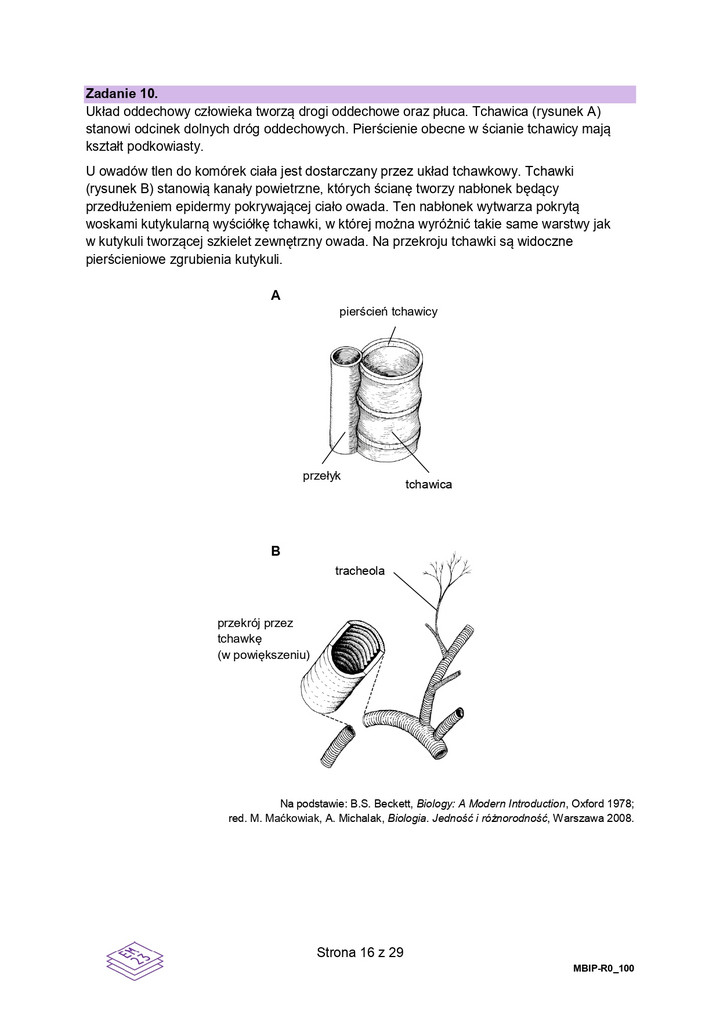 Matura z biologii 2023 - arkusze egzaminacyjne — poziom rozszerzony