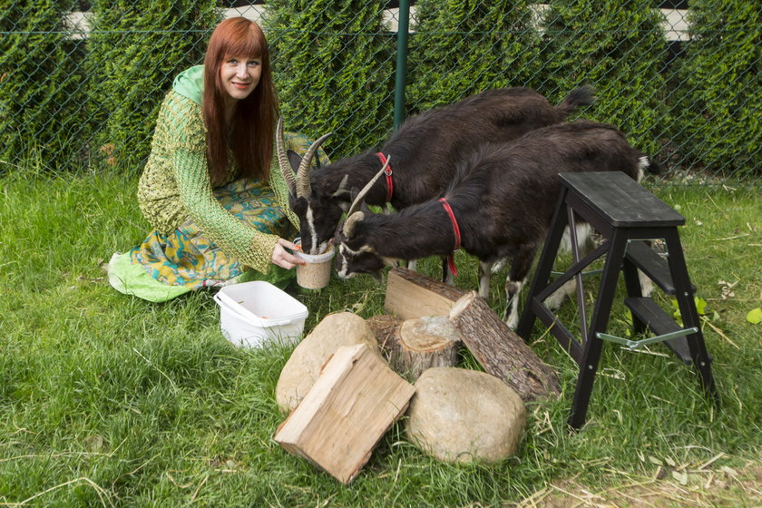 Violetta Nowacka ze swoimi kozami