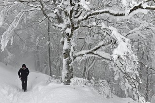 Rzym sparaliżowany; zamknięte szkoły, ograniczone kursowanie autobusów