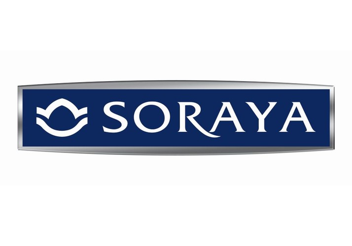 Specjalizująca się w produkcji kosmetyków do pielęgnacji twarzy spółka powstała w 1984 roku. Założyła ją Polka – Jolanta Zwolińska.  Dziesięć lat później przekształciła się w spółkę akcyjną. W 2000 roku 100 proc. udziałów w przedsiębiorstwie przejął szwedzki farmaceutyczno-kosmetyczny koncern Cederroth AB. Od 2008 roku Cederroth jest zarządzany przez skandynawski fundusz CapMan. W październiku 2010 r. Cederroth kupił też 100 proc. udziałów Dermiki, również założonej przez Jolantę Zwolińską. Właściciel marki Soraya jest częścią amerykańskiego koncernu Alberto Culver. Ten z kolei należy do globalnego kosmetycznego giganta – Unilevera.