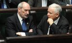 Misiewicz wróci! Macierewicz sprzeciwi się Kaczyńskiemu?