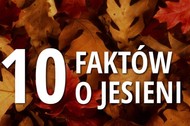 10 faktów o jesieni