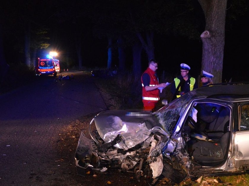 Pijany zabójca skazany na 12 lat za zabicie trzech osób