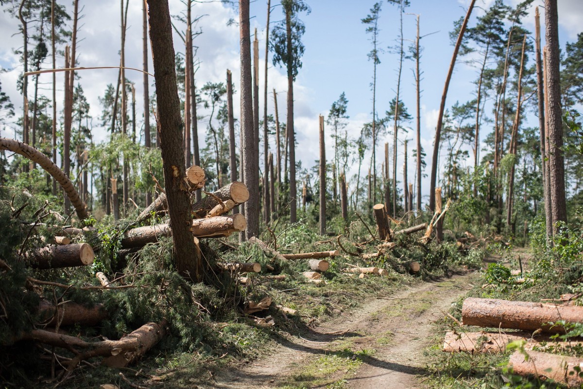 Suszek, tu rozbili swój obóz harcerze