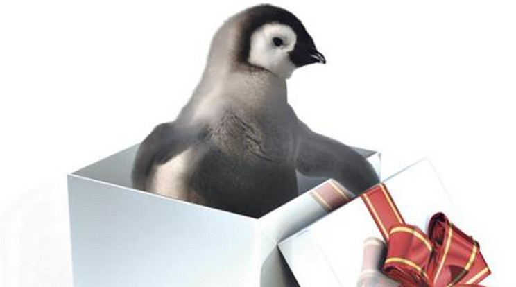 Pingvin ajándékba 