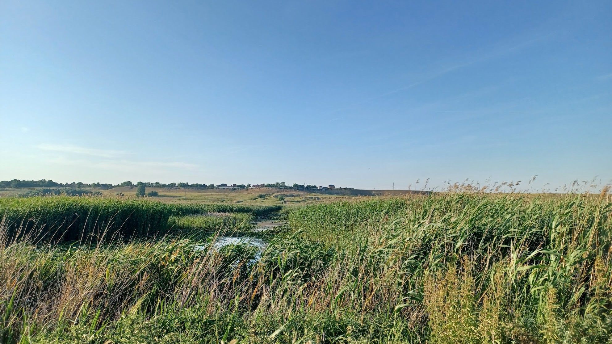 Ako projekt Living Danube pomáha obnovovať mokrade na Slovensku a v Rumunsku