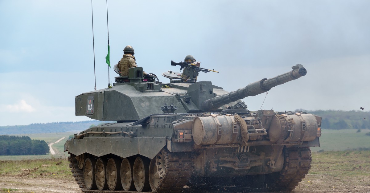 Zawodowa służba w wojsku polskim nie dla wszystkich