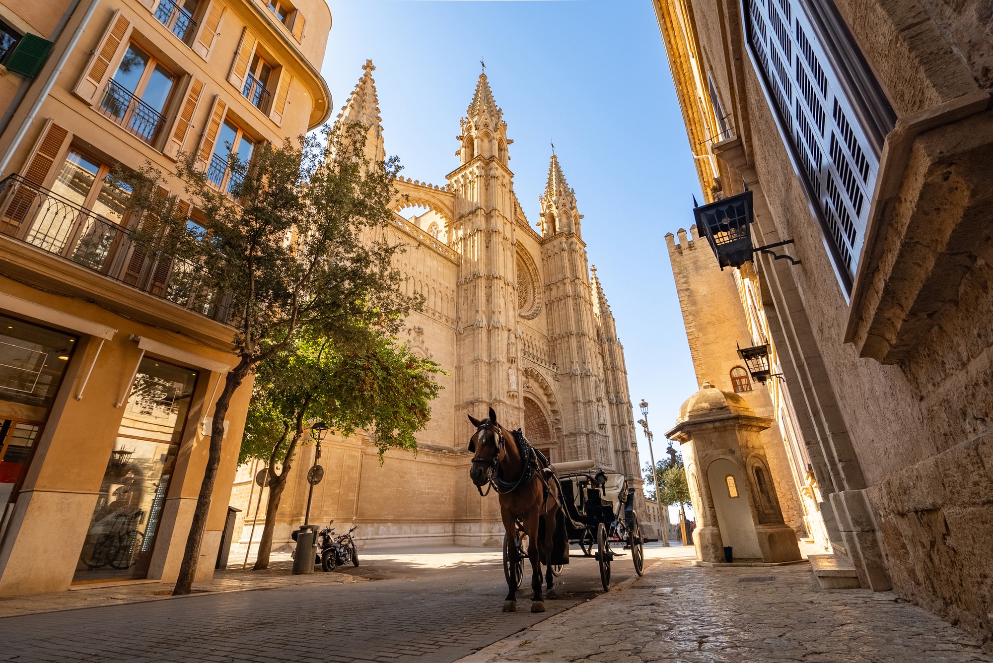 Palma de Mallorca je vyhľadávané miesto na dovolenku. (ilustračné foto)