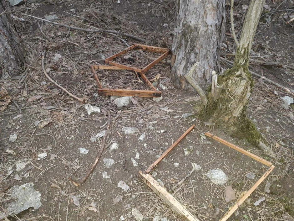 Razvaljene košnice nađene i u šumi 