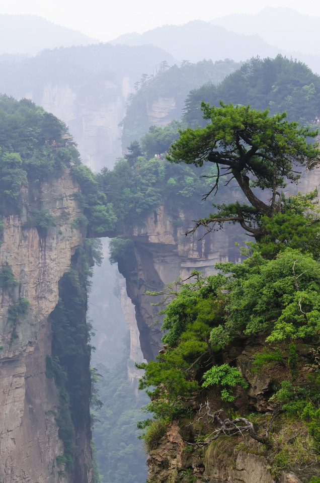 Park Narodowy Zhangjiajie Wulingyuan