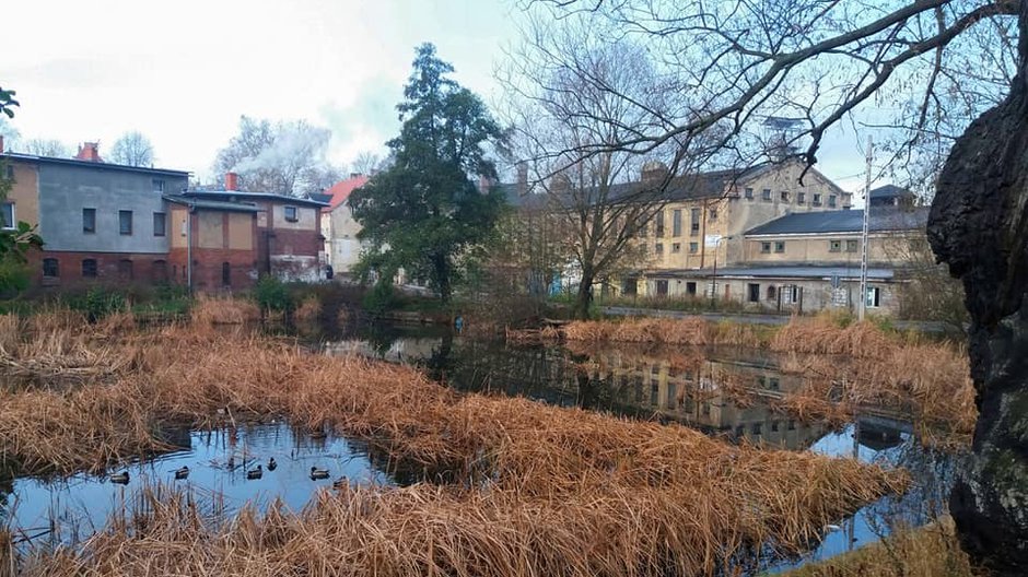 Jeziorko, dąb, zabudowania i szyb "Chwalibóg"