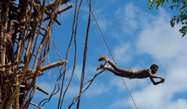 492410_profimedia0198559918