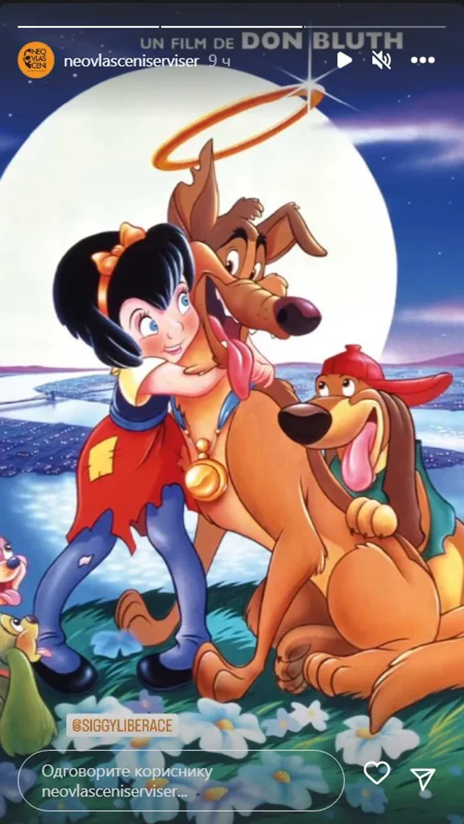 Poslednja objava Mirka Rašića