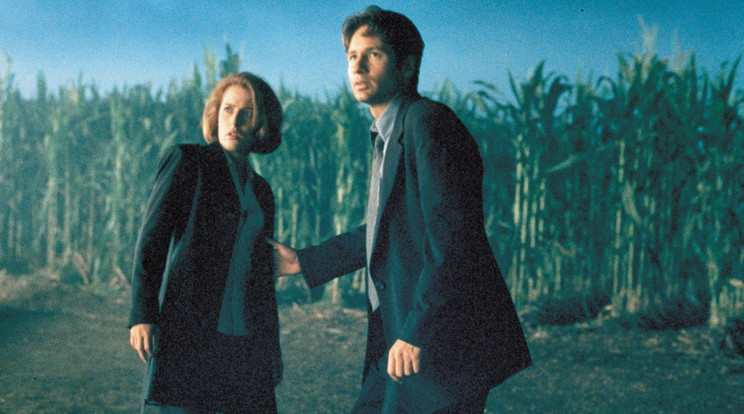 Dana Scully és Fox Mulder kalandjai meghódították a világot /Fotó: NORTHFOTO