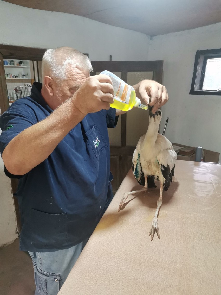 Sava bez pomoći ne bi mogao da preživi