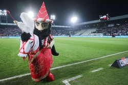 Kibic Cracovii przekazał krakowskim szpitalom 1200 par gogli ochronnych [FOTO]