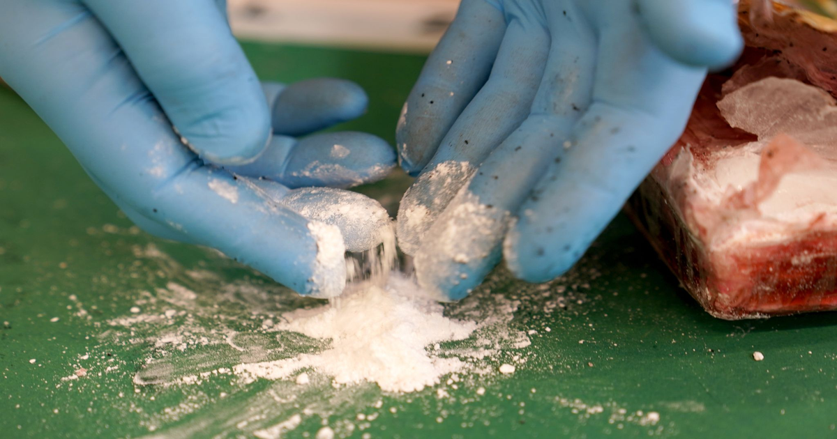 Polizei zerschlägt Kokain-Kartell - 10 Tonnen Drogen beschlagnahmt