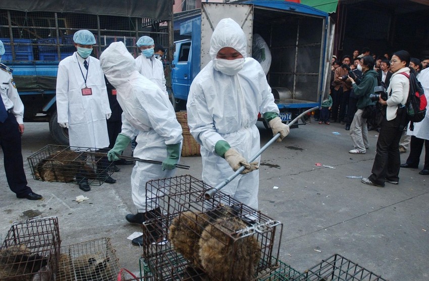 Kina je zbog izbijanja epidemije Kovida-19 zabranila trgovinu divljim životinjama za ishranu