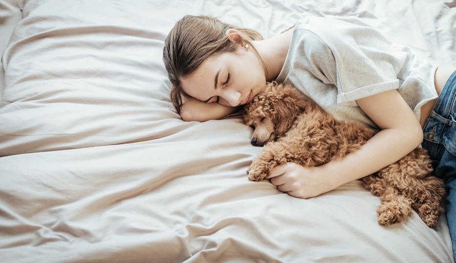 Ez vár rád, ha férfi helyett csak a kutyáddal oszthatod meg az ágyadat.  Fotó: iStock